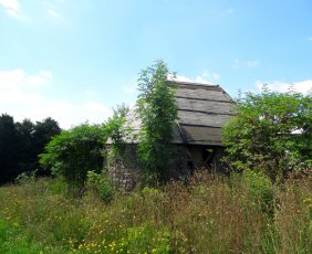 Przed naprawą